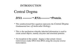 DNA replication, transcription and translation | PPTX