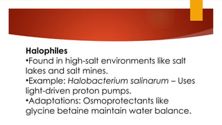 Presentation1.pptx.......................... | PPTX