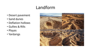Landform
• Desert pavement
• Sand dunes
• Deflation hollows
• Gullies & Rills
• Playas
• Yardangs
 