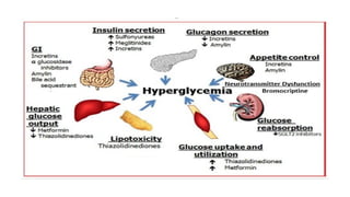 Diabetes Mellitus – Causes, Types, Risks & Prevention