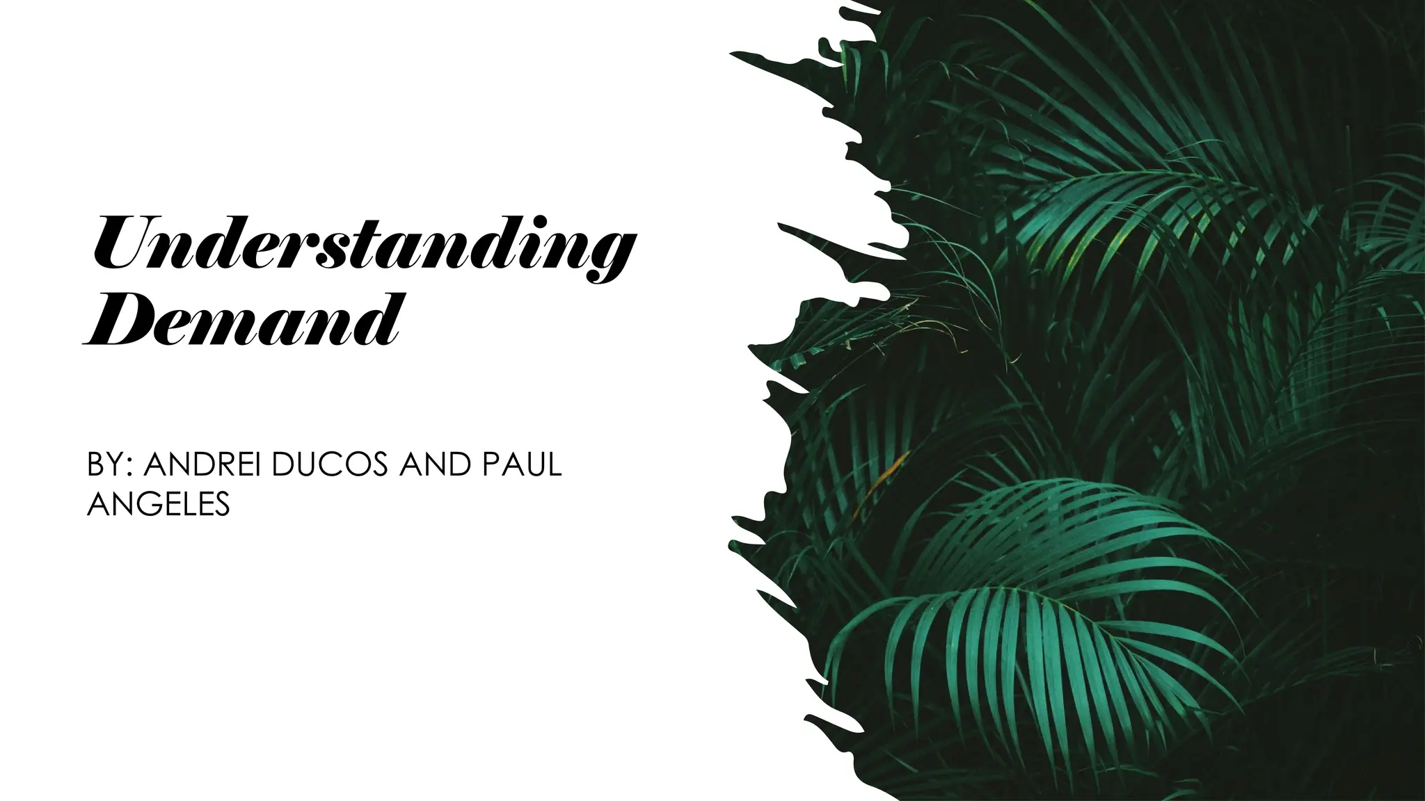 Understanding
Demand
BY: ANDREI DUCOS AND PAUL
ANGELES
 