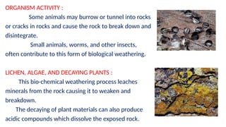 How Animas Break The Rocks Weathering- Definition, Types of weathering. | PPTX