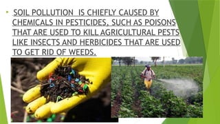 
SOIL POLLUTION IS CHIEFLY CAUSED BY
CHEMICALS IN PESTICIDES, SUCH AS POISONS
THAT ARE USED TO KILL AGRICULTURAL PESTS
LIKE INSECTS AND HERBICIDES THAT ARE USED
TO GET RID OF WEEDS.
 