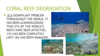 CORAL REEF DEGRADATION
 IS A SIGNIFICANT PROBLEM
THROUGHOUT THE WORLD. IT
HAS BEEN ACKNOWLEDGED
THAT 27% OF THE WORLD’S
REEFS HAVE BEEN AFFECTED.
11% HAS BEEN COMPLETELY
LOST 16% HAS BEEN DAMAGED.
 