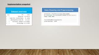 Dataset overivew
Implementation snapshot
 