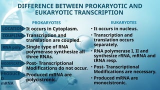 TRANSCRIPTION IN PROKARYOTES AND EUKARYOTES | PPTX