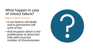 What happen in case
of mitosis failure?
• It can lead to cell death
and to permanent cell
cycle arrest
• And mutation which is the
proliferation of abnormal
cells with incorrect
number of chromosomes
 