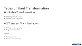 Comprehensive Guide to Plant Transformation: Basics, Methods, and ...