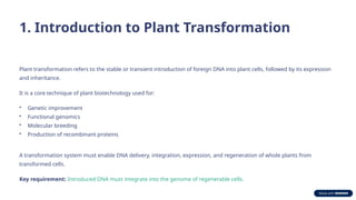 Comprehensive Guide to Plant Transformation: Basics, Methods, and ...