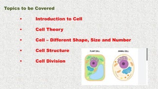 life process class 10 cbse board presentation | PPTX