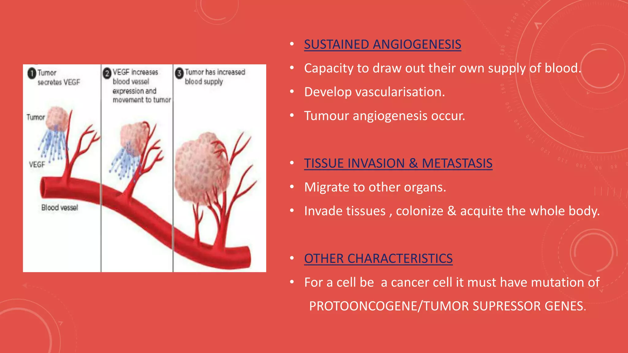 • SUSTAINED ANGIOGENESIS
• Capacity to draw out their own supply of blood.
• Develop vascularisation.
• Tumour angiogenesis occur.
• TISSUE INVASION & METASTASIS
• Migrate to other organs.
• Invade tissues , colonize & acquite the whole body.
• OTHER CHARACTERISTICS
• For a cell be a cancer cell it must have mutation of
PROTOONCOGENE/TUMOR SUPRESSOR GENES.
 