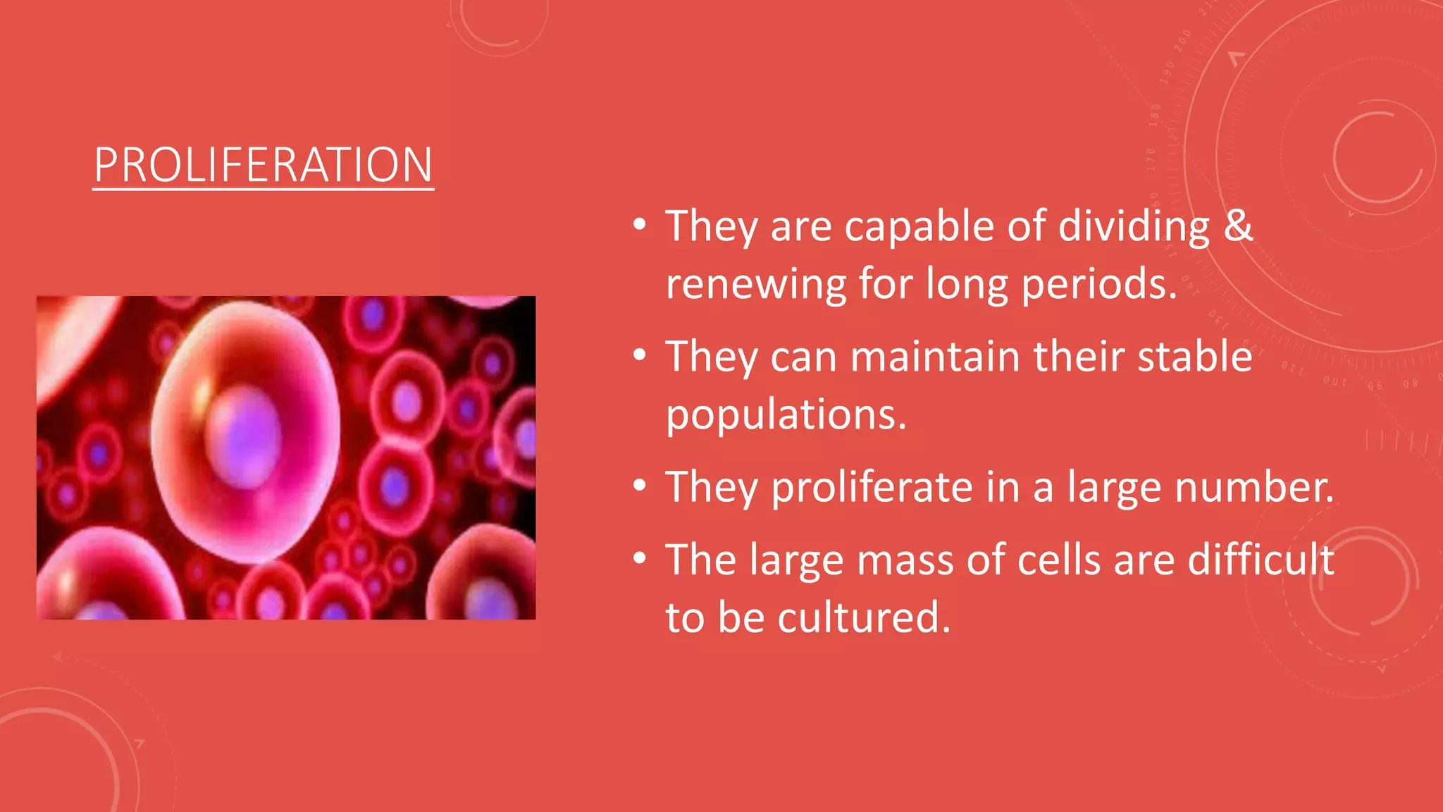 PROLIFERATION
• They are capable of dividing &
renewing for long periods.
• They can maintain their stable
populations.
• They proliferate in a large number.
• The large mass of cells are difficult
to be cultured.
 