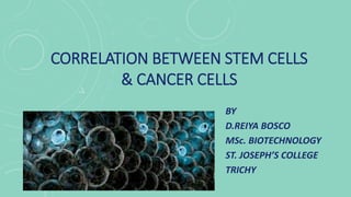 correlation between stem cells and cancer cells | PPTX