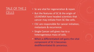 correlation between stem cells and cancer cells | PPTX