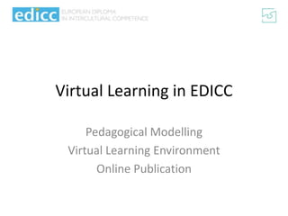 Virtual Learning in EDICC Pedagogical Modelling Virtual Learning Environment Online Publication 