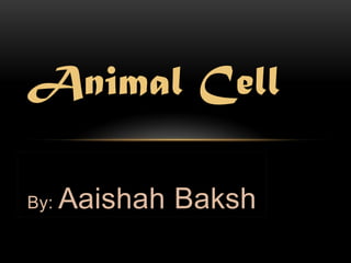 Animal Cell

By:   Aaishah Baksh
 