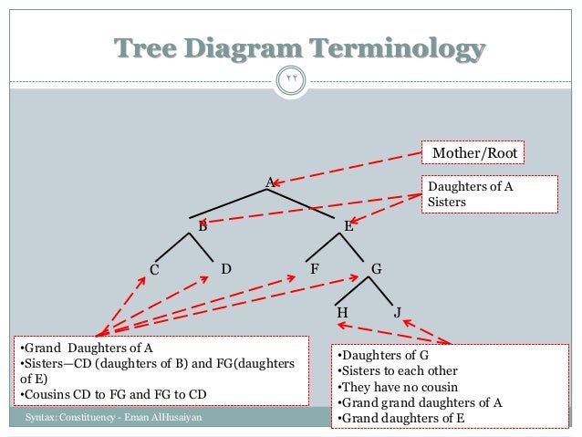 Constituency, Trees and Rules