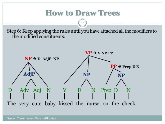 Constituency Trees And Rules