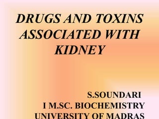 DRUGS AND TOXINS
ASSOCIATED WITH
KIDNEY
S.SOUNDARI
I M.SC. BIOCHEMISTRY
 