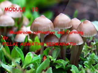MODULE 10
Mushroom cultivation and Farming
BY,
PILLAI ASWATHY VISWANATH
 