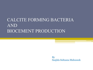 CALCITE FORMING BACTERIA
AND
BIOCEMENT PRODUCTION
By
Saajida Sultaana Mahusook
 
