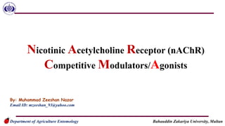 Nicotinic Acetylcholine Receptor (nAChR)
Competitive Modulators/Agonists
Department of Agriculture Entomology Bahauddin Zakariya University, Multan
By: Muhammad Zeeshan Nazar
Email ID: mzeeshan_93@yahoo.com
 