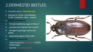 Presentation (1) diseases and pest of silkworm. | PPT