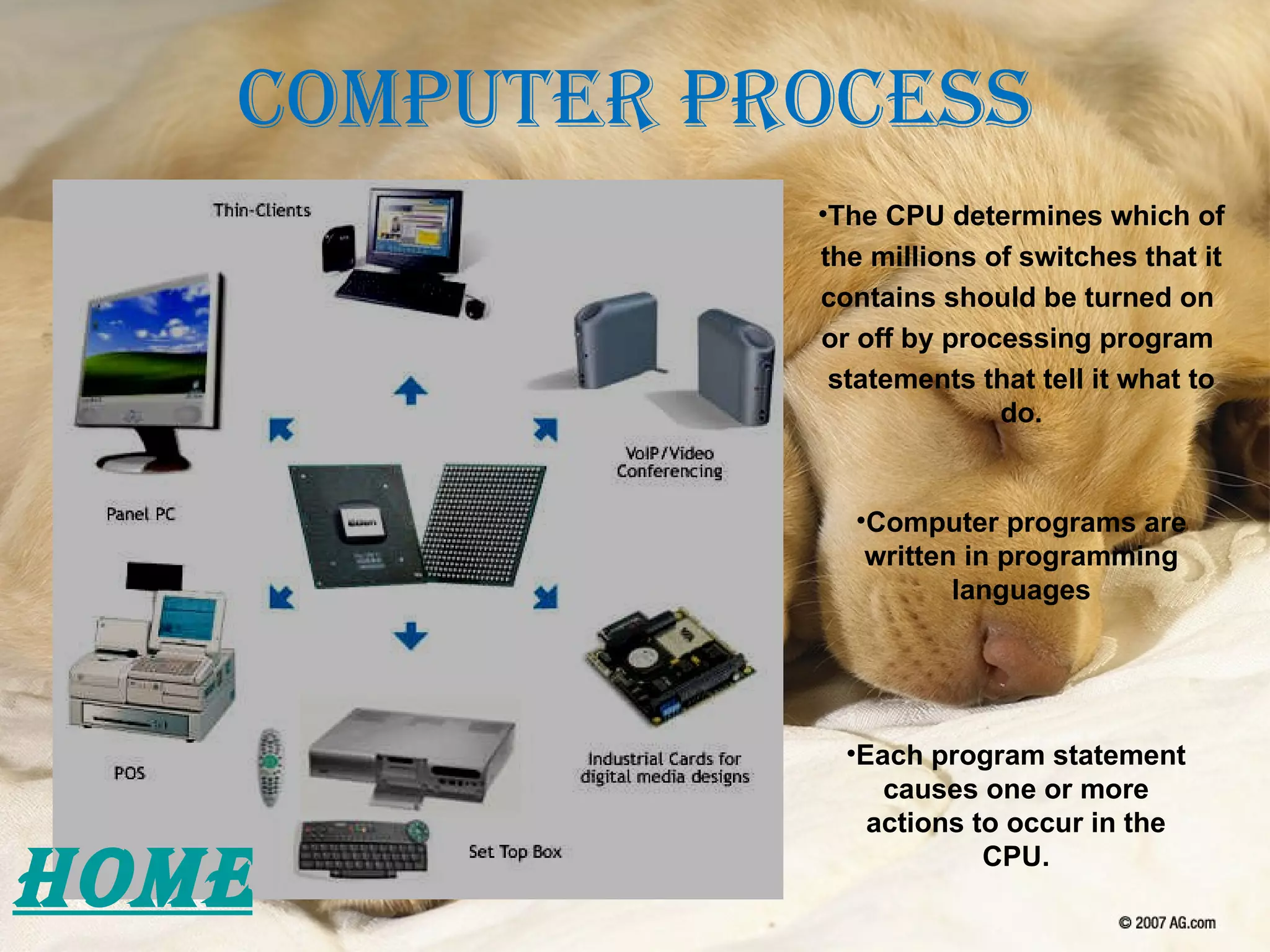Computer Process The CPU determines which of  the millions of switches that it  contains should be turned on  or off by processing program  statements that tell it what to do. Computer programs are written in programming languages Each program statement causes one or more actions to occur in the CPU. HOME 