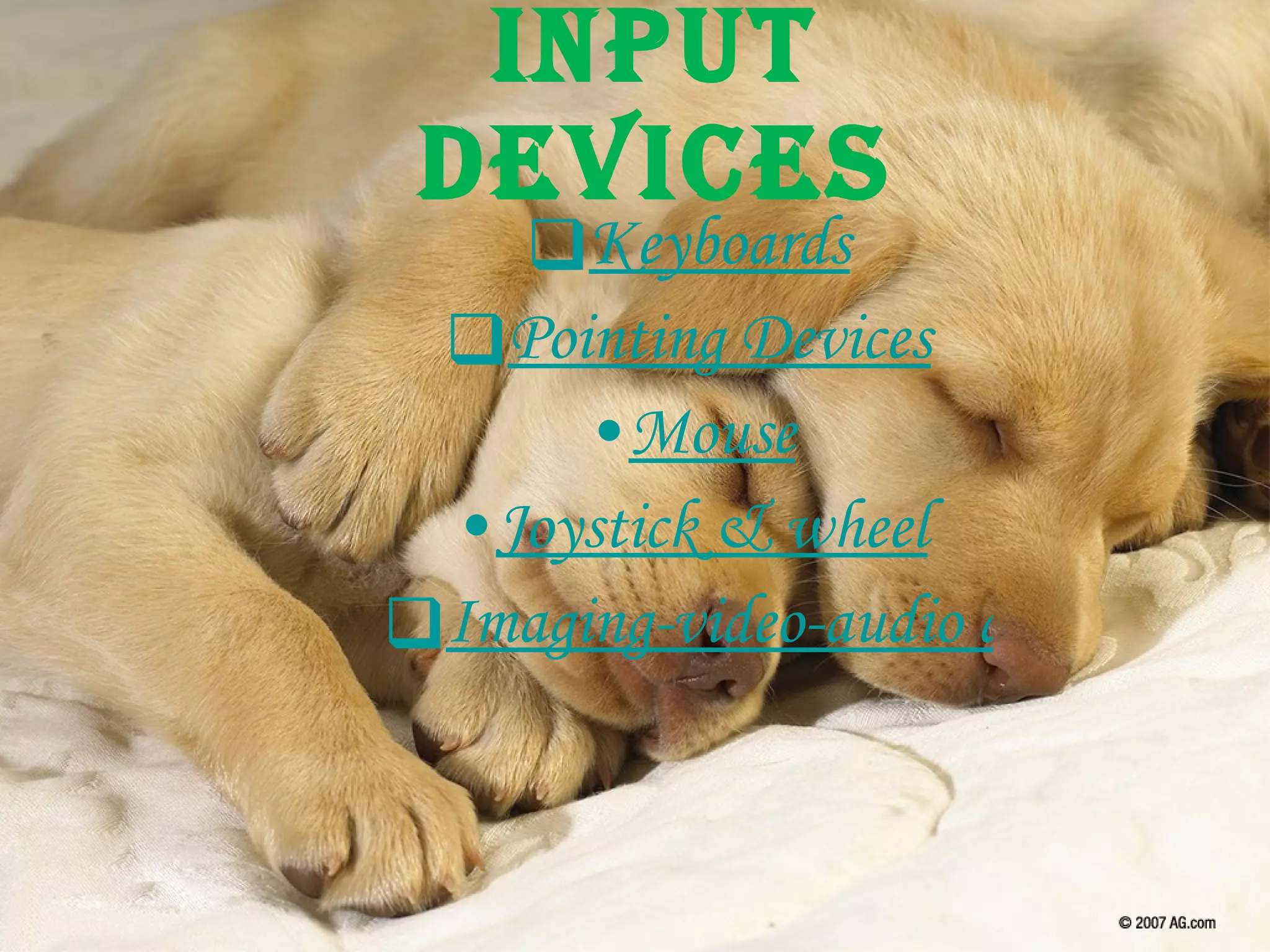 Input Devices Keyboards Pointing Devices Mouse Joystick & wheel Imaging-video-audio devices 