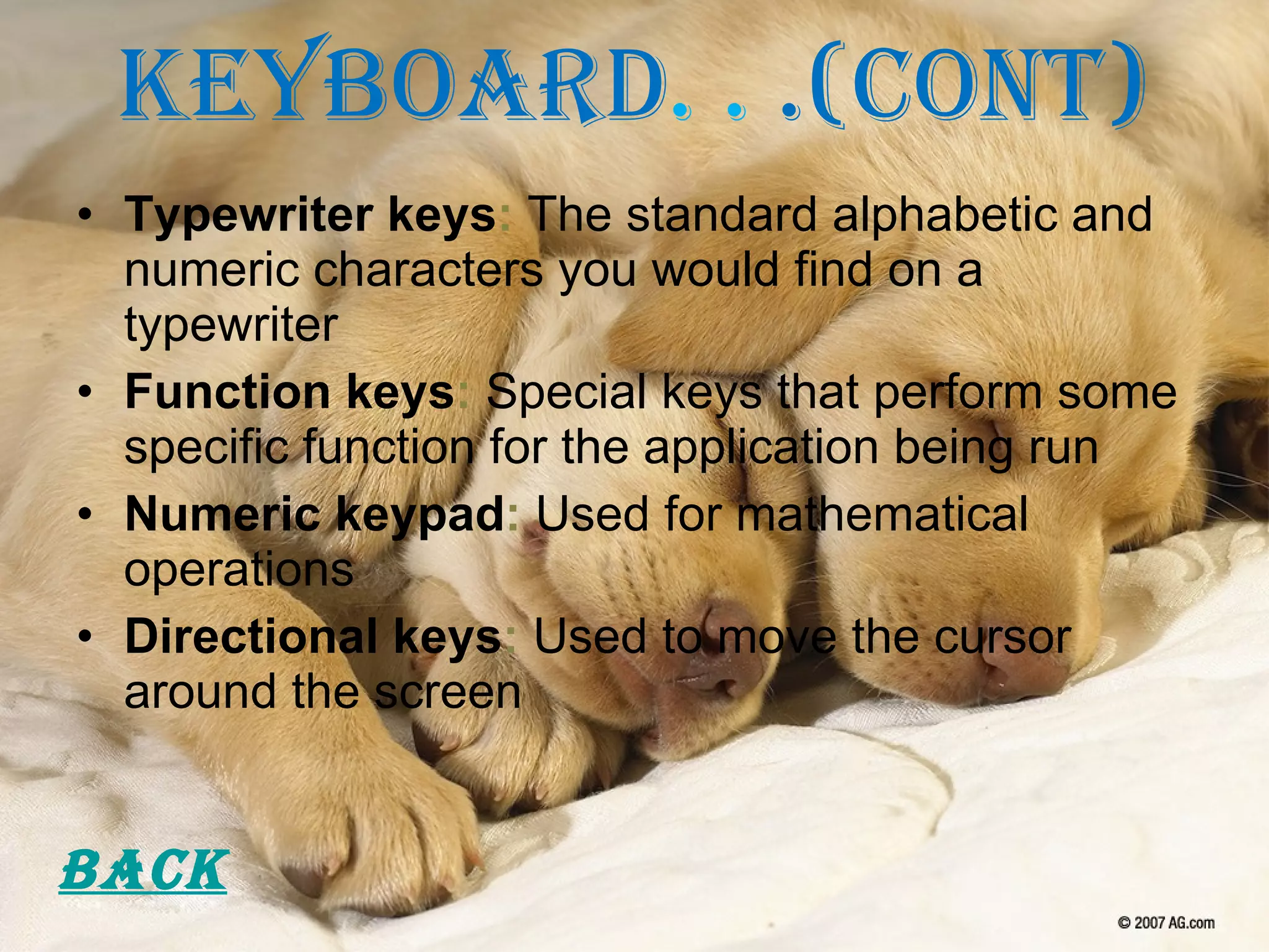 Keyboard . .  .(cont) Typewriter keys :  The standard alphabetic and numeric characters you would find on a typewriter Function keys :  Special keys that perform some specific function for the application being run Numeric keypad :  Used for mathematical operations Directional keys :  Used to move the cursor around the screen Back 
