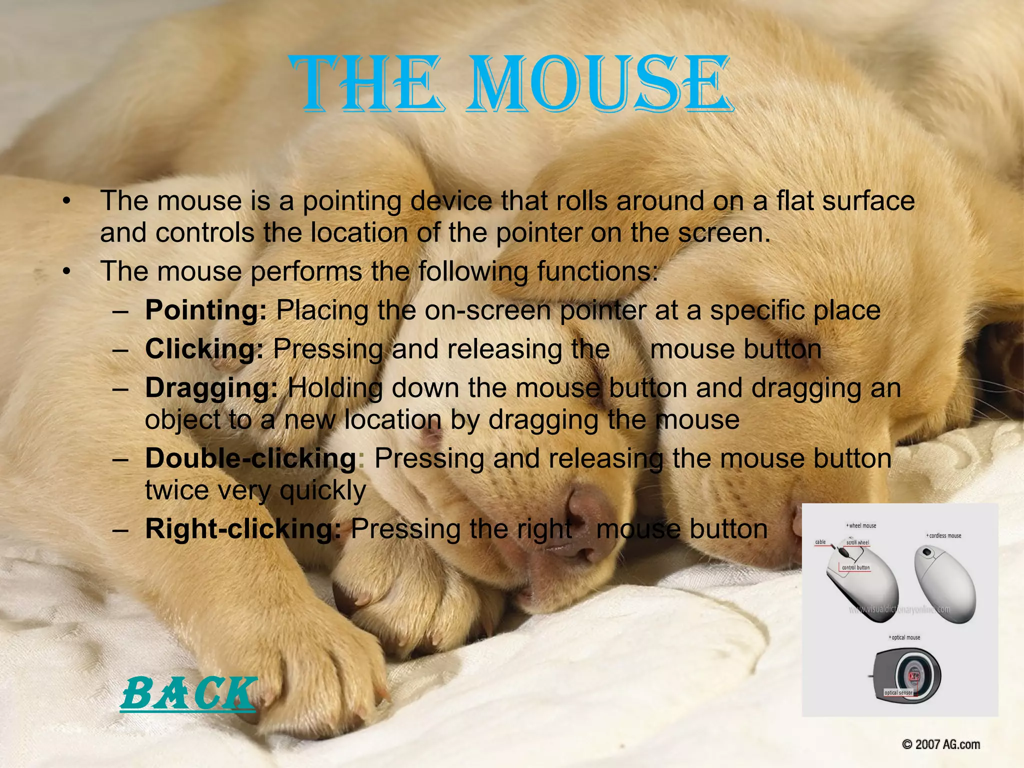 The Mouse The mouse is a pointing device that rolls around on a flat surface and controls the location of the pointer on the screen. The mouse performs the following functions: Pointing:  Placing the on-screen pointer at a specific place Clicking:  Pressing and releasing the  mouse button Dragging:  Holding down the mouse button and dragging an object to a new location by dragging the mouse Double-clicking :  Pressing and releasing the mouse button twice very quickly Right-clicking:  Pressing the right  mouse button Back 