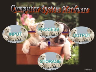 Computer System Hardware PROCESS INPUT OUTPUT STORAGE 