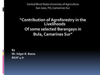 Central Bicol State University of Agriculture
San Jose, Pili, Camarines Sur
“Contribution of Agroforestry in the
Livelihoods
Of some selected Barangays in
Bula, Camarines Sur”
By
Mr. Edgar B. Baesa
BSAF 4-A
 