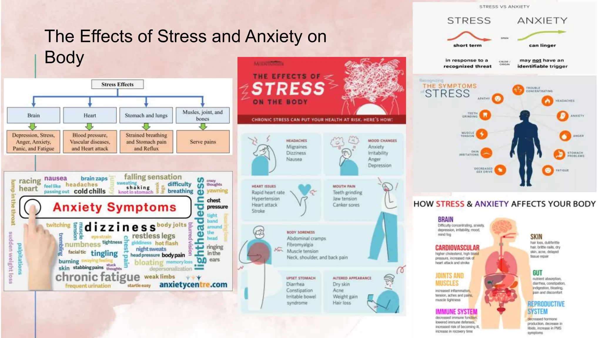 Solution
s
The Effects of Stress and Anxiety on
Body