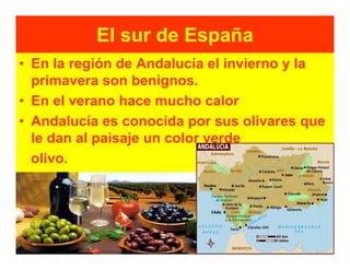 El sur de España
• En la región de Andalucía el invierno y la
  primavera son benignos.
• En el verano hace mucho calor
• Andalucía es conocida por sus olivares que
  le dan al paisaje un color verde
  olivo.
 