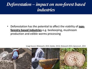 Deforestation – impact on non-forest based
industries
• Deforestation has the potential to affect the viability of non-
forestry based industries e.g. beekeeping, mushroom
production and edible worms processing
Image Source: (Mukwazhi; 2014; Katebe; 2013); Mukwazhi 2013; Apiconsult , 2015
 