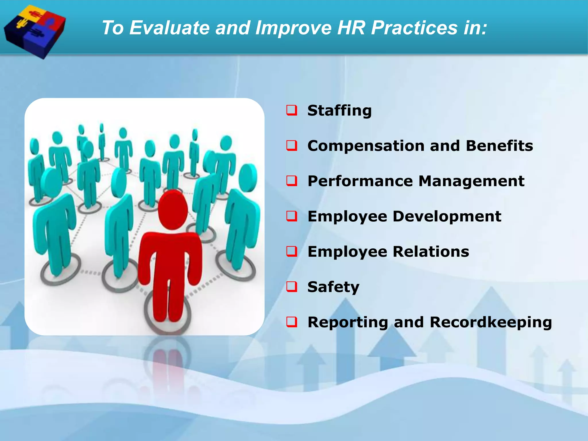 To Evaluate and Improve HR Practices in:
 Staffing
 Compensation and Benefits
 Performance Management
 Employee Development
 Employee Relations
 Safety
 Reporting and Recordkeeping
 
