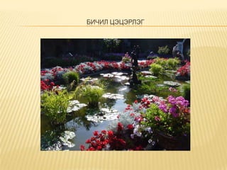 БИЧИЛ ЦЭЦЭРЛЭГ

 