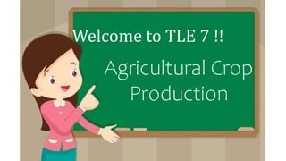 Agricultural Crop
Production
Welcome to TLE 7 !!
 