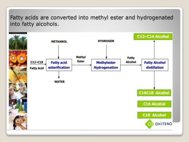 production of fatty alcohol from hydrogenation Supported copper or especially nickel catalysts are very important for hydrogenation of various organic compounds in the practice activity, selectivity and stability can be greatly improved using co-catalysts: eg chromium compounds with cu (adkins catalyst for fatty alcohol production) or molybdenum compounds with ni (for. production of fatty alcohol from hydrogenation Supported copper or especially nickel catalysts are very important for hydrogenation of various organic compounds in the practice activity, selectivity and stability can be greatly improved using co-catalysts: eg chromium compounds with cu (adkins catalyst for fatty alcohol production) or molybdenum compounds with ni (for.
