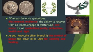  Whereas the olive symbolizes 
life,renewal,resilience( the ability to recover 
from an illness,change or misfortune) and 
peace,its oil symbolizes purity, protection, 
health and light. 
 As you know,the olive branch is the symbol of 
peace and olive oil is used for cooking and 
healing. 
 