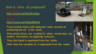 How is olive oil produced? 
Tuscany,Italy 
http://youtu.be/P0yjSPy46Qs 
Turkey 
http://youtu.be/VhIg2dBUX6A 
From ancient times until today,the basic process of 
producing the oil is the same. 
First,whole olives are crushed.In other words,they are 
broken into pieces by applying pressure. 
Then,the liquid is separated from the solids. 
After that,the valuable oil is separated from the water. 
