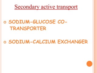 Secondary active transport

   SODIUM-GLUCOSE CO-
    TRANSPORTER

   SODIUM-CALCIUM EXCHANGER
 