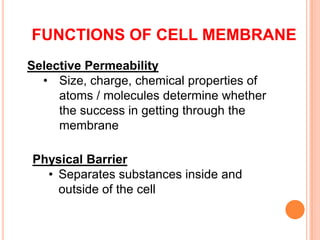 FUNCTIONS OF CELL MEMBRANE
Selective Permeability
  • Size, charge, chemical properties of
     atoms / molecules determine whether
     the success in getting through the
     membrane

Physical Barrier
  • Separates substances inside and
    outside of the cell
 