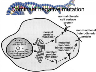 Dominant negative mutation
 
