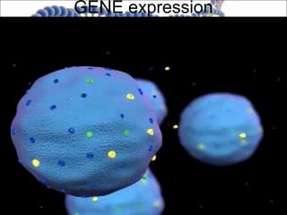 GENE expression
 