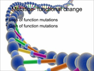 Mutation- functional change
• Loss of function mutations
• Gain of function mutations
 