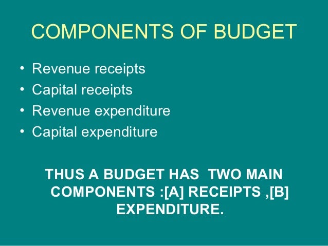 presentation1 ppt on budget