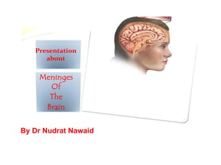 By Dr Nudrat Nawaid 
