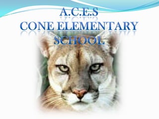 A.C.E.S  Cone Elementary School  